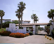 la paloma