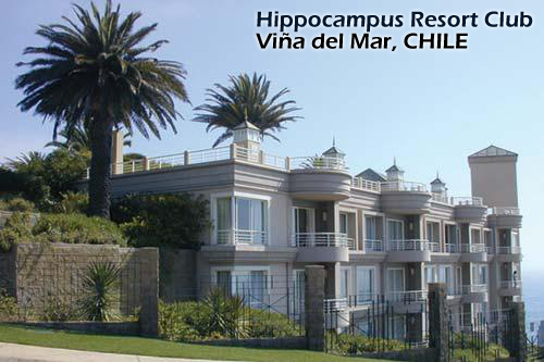 Hippocampus_Viña_del_Mar_ResortClub_chile