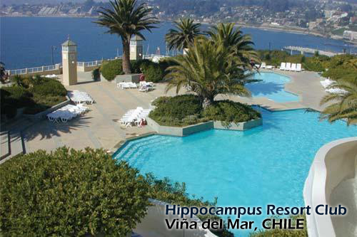 Hippocampus_Vina_del_Mar_Resort_Club_chile